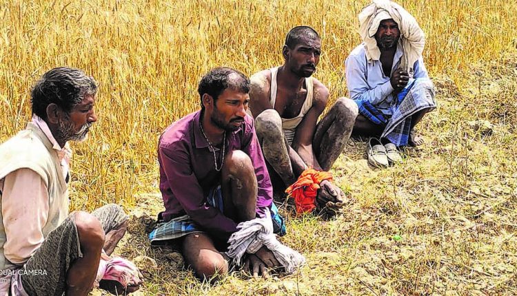 पुलिस मुठभेड़ के बाद पकड़े गए अपराधी।