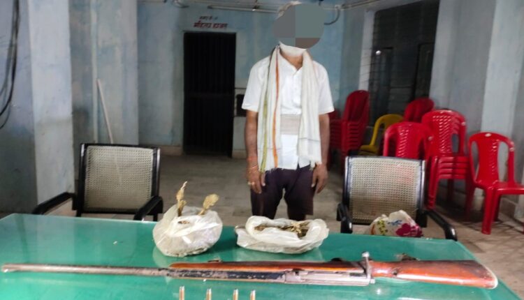 गांजा व हथियार के साथ पकड़ा गया शख्स।