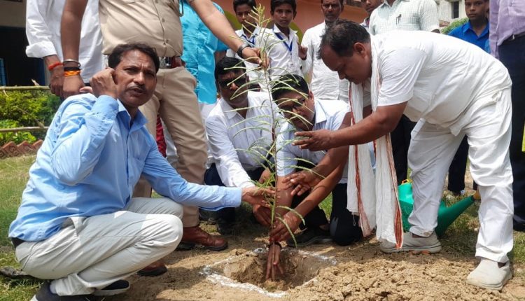 रोहतास जिले के धौडांड़ में पौधरोपण करते डीएफओ मनीष कुमार वर्मा व अन्य।