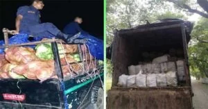 गांजा से भरे मिनी ट्रक को जब्त करते नेपाल के सुरक्षाबल।